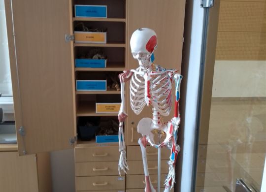 Atelier d'anatomie_resized